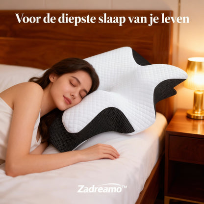 Zadreamo™ | Ergonomisch Traagschuim Kussen voor Ontspannen, Diepe Slaap